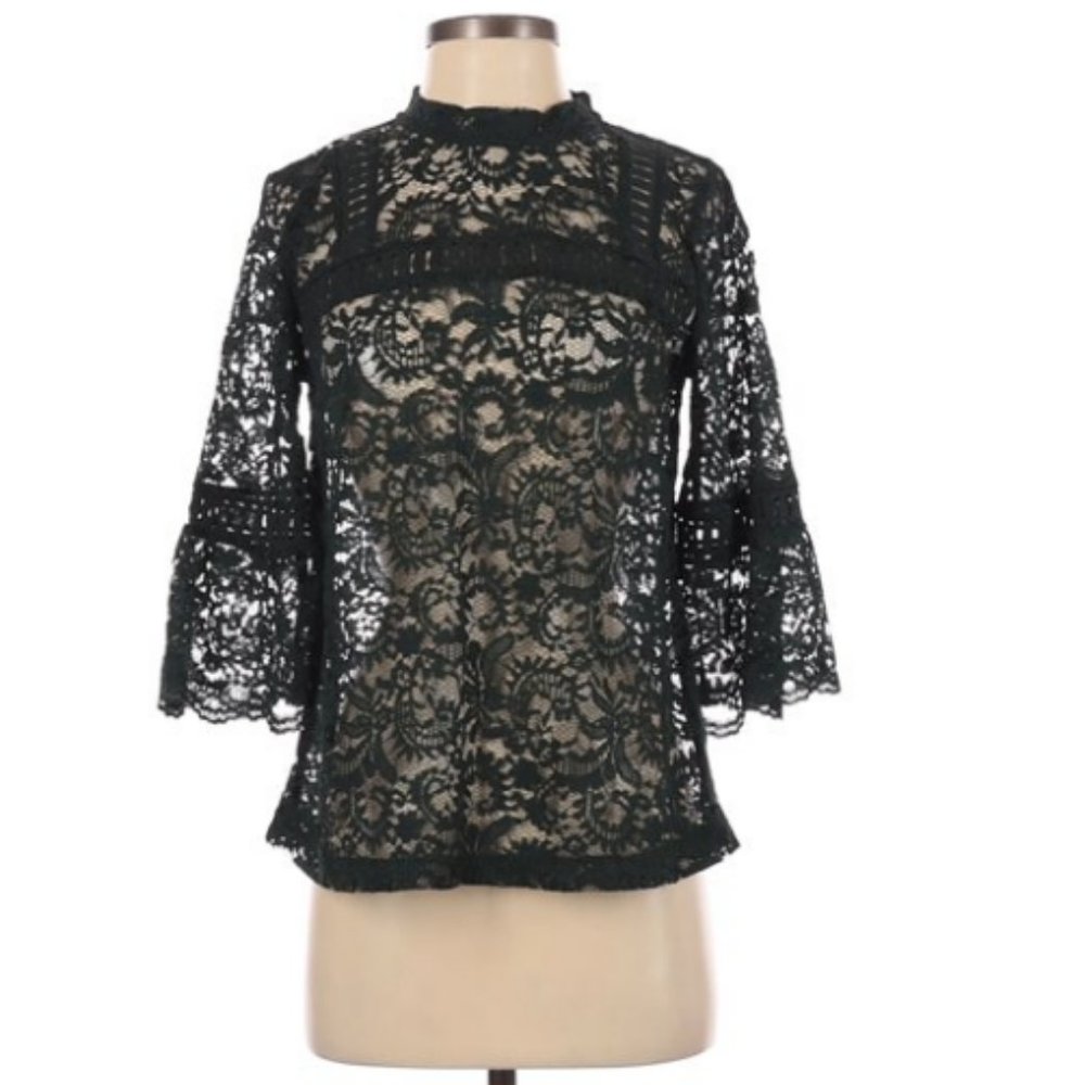 Loft Lace Blouse